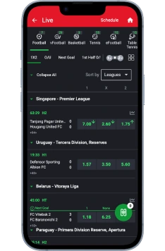 Sportybet Mobile App